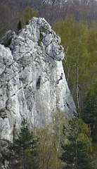 334_TZ60_P1100486_cr