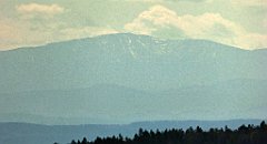 343a_TZ60_P1100504_cr