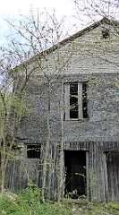 353_TZ60_P1100512_cr