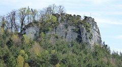 381_TZ60_P1100534_cr