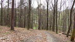 418_TZ60_P1100550_cr