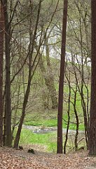 420_TZ60_P1100552_cr