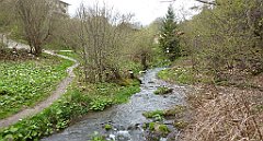 431_TZ60_P1100558_cr