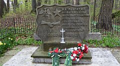 472_TZ60_P1100586_cr