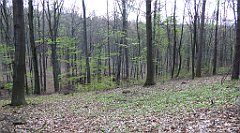 506_TZ60_P1100603_cr