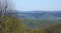 041_TZ60_P1100771_cr