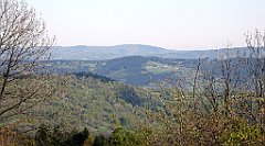 053_TZ60_P1100784_cr