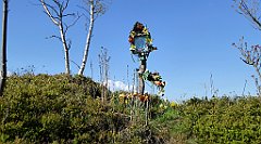 059_TZ60_P1100790_cr