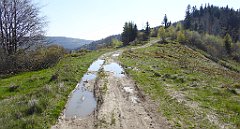 065_TZ60_P1100795_cr