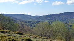 067_TZ60_P1100797_cr