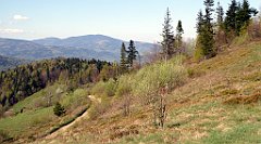 070_TZ60_P1100805_cr