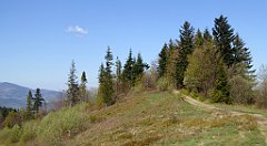 077_TZ60_P1100814_cr