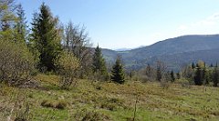 081_TZ60_P1100818_cr