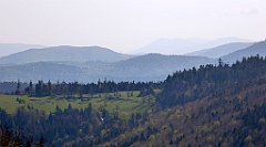 084_TZ60_P1100823_cr