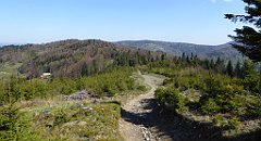 090_TZ60_P1100832_cr