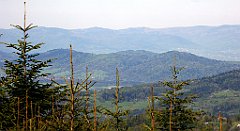 091_TZ60_P1100833_cr