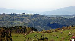 094_TZ60_P1100839_cr