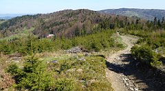 101_TZ60_P1100848_cr