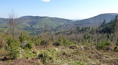 108_TZ60_P1100856_cr