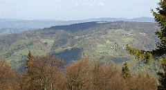 118_TZ60_P1100870_cr