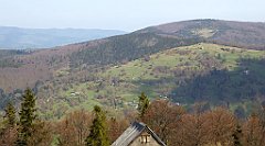 121_TZ60_P1100874_cr