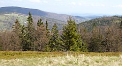 125_TZ60_P1100880_cr