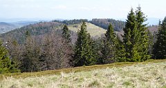 126_TZ60_P1100882_cr