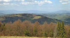 139_TZ60_P1100896_cr