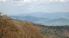 150_TZ60_P1100912_cr