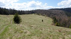 161_TZ60_P1100927_cr