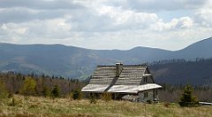 180_TZ60_P1100948_cr