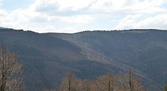 184_TZ60_P1100957_cr