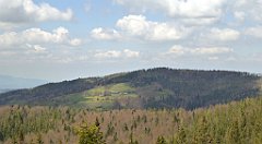 191_TZ60_P1100973_cr