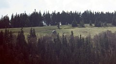 203_TZ60_P1100990_cr