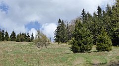 208_TZ60_P1100995_cr