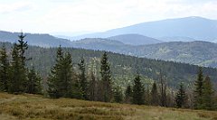 217_TZ60_P1110005_cr