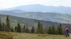 218_TZ60_P1110006_cr