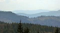 222_TZ60_P1110014_cr