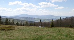 223_TZ60_P1110015_cr