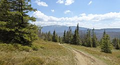 225_TZ60_P1110018_cr