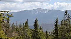 226_TZ60_P1110019_cr