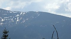 234_TZ60_P1110030_cr