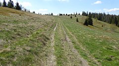 263_TZ60_P1110063_cr