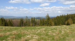 272_TZ60_P1110076_cr