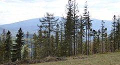 297_TZ60_P1110109_cr