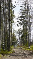 316_TZ60_P1110129_cr