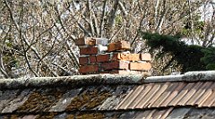 322_TZ60_P1110135_cr