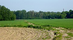 048_TZ60_P1110222_cr