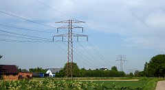 060_TZ60_P1110233_cr