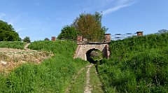 061_TZ60_P1110234_cr